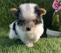 processed/6d3fc065-6464-445c-8c70-564982b27023/listing/939060f2-3534-4443-9f4f-39743011f664/d6184e86-3c48-4bae-a0b1-3dc32aa066b8