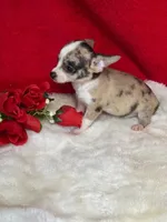 processed/6d3fc065-6464-445c-8c70-564982b27023/listing/9f15ba44-afed-4556-bdb0-7e493dfed174/18952377-a9e8-4a91-b66d-71ccbedaca14