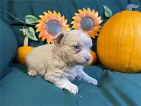 processed/6d3fc065-6464-445c-8c70-564982b27023/listing/ae8fe809-e4a0-4617-9f47-d720fd8b50a5/02cdb189-da21-442c-b18f-076d1b3b06b2