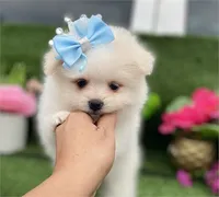 processed/6d3fc065-6464-445c-8c70-564982b27023/listing/e55f1eec-c655-492c-846a-6e18852b4994/2860880c-8e9a-479a-877f-ae82fa85fed9