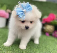 processed/6d3fc065-6464-445c-8c70-564982b27023/listing/e55f1eec-c655-492c-846a-6e18852b4994/43eea94a-2a20-48d7-bac9-3100134645aa