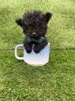 processed/6d3fc065-6464-445c-8c70-564982b27023/listing/feea1fd1-acd6-466c-bf9a-f9974ba88973/8a3bc476-b512-49f7-9827-80146797b1fe