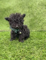 processed/6d3fc065-6464-445c-8c70-564982b27023/listing/feea1fd1-acd6-466c-bf9a-f9974ba88973/91288af4-842b-4eea-bea1-135bafe8fa73