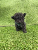 processed/6d3fc065-6464-445c-8c70-564982b27023/listing/feea1fd1-acd6-466c-bf9a-f9974ba88973/a1847eb5-2a59-4827-b27d-759b35156625