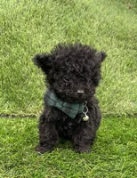 processed/6d3fc065-6464-445c-8c70-564982b27023/listing/feea1fd1-acd6-466c-bf9a-f9974ba88973/c56d9eb0-0e47-405d-862e-e3d4112d6cf7