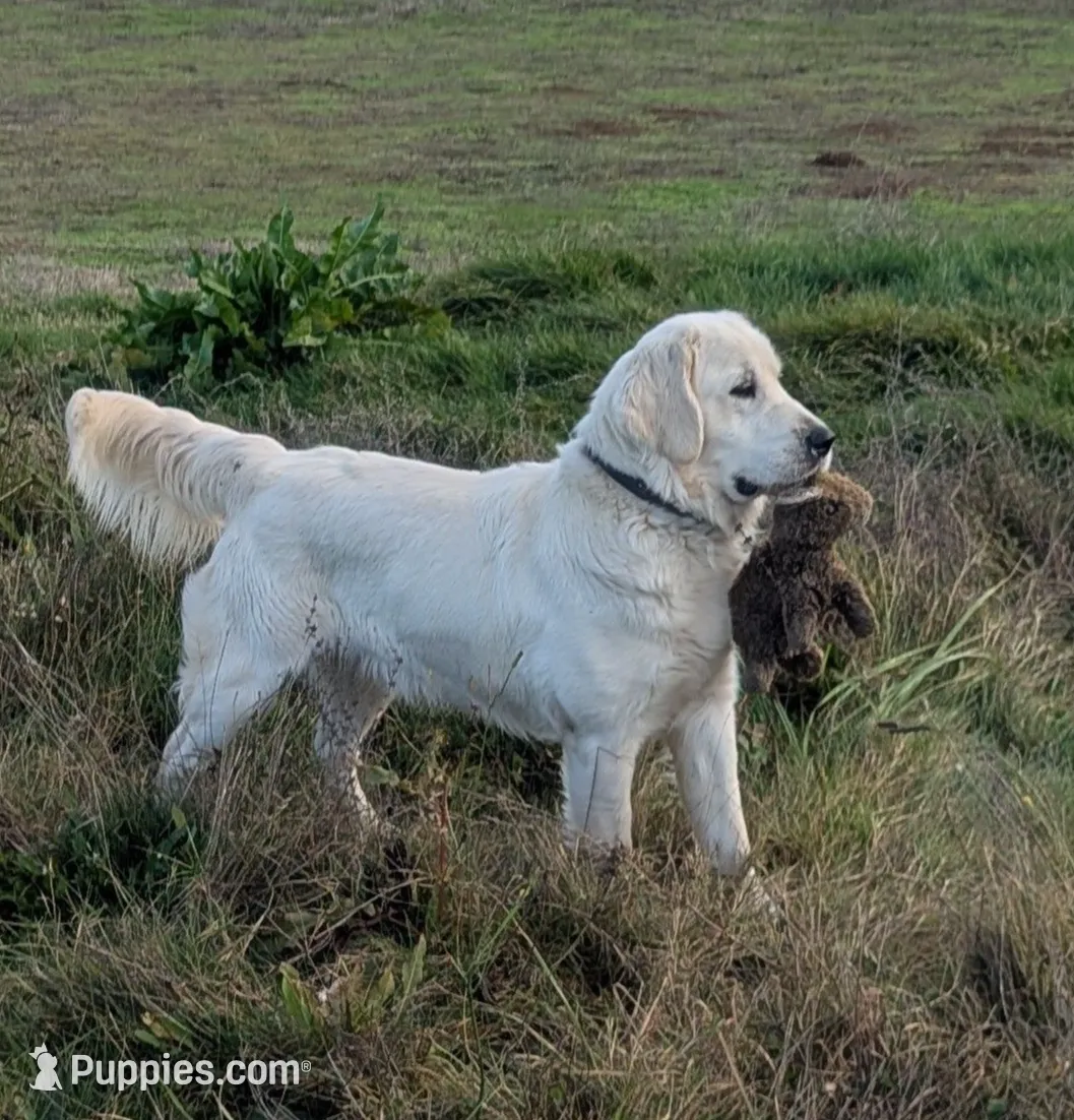 processed/6d40cfe3-d809-424d-9f9a-5683c4c5525d/facility/8add3973-fd96-457e-92cb-ec051030f004