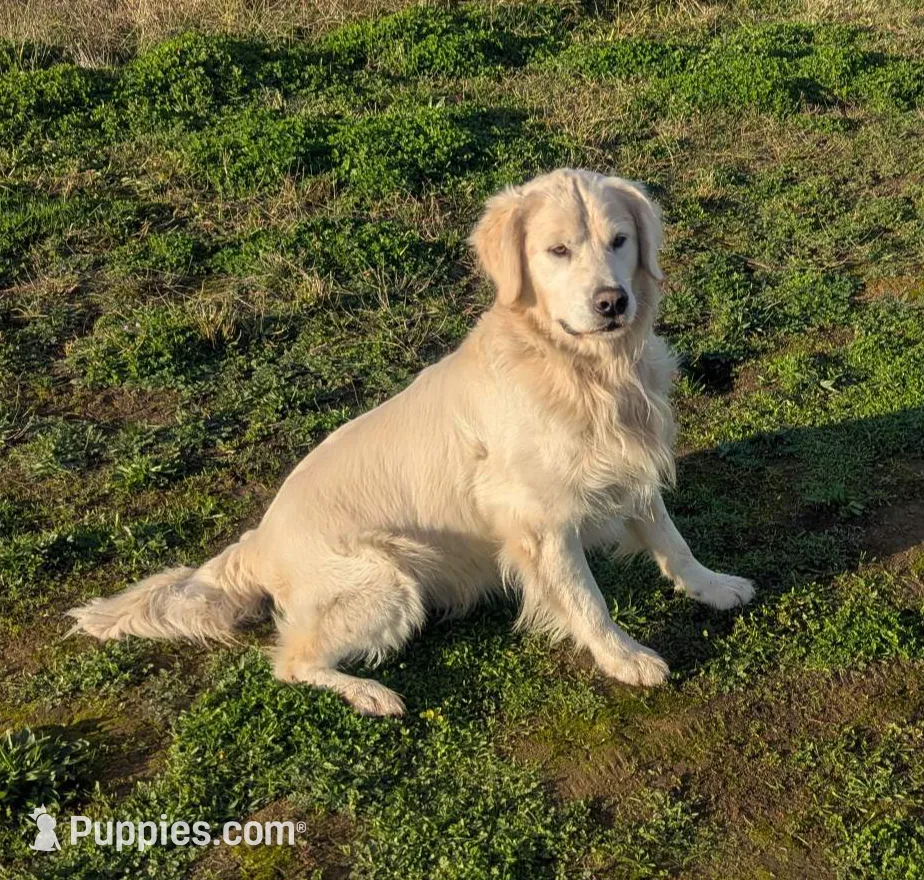 processed/6d40cfe3-d809-424d-9f9a-5683c4c5525d/listing/0b73eb85-abec-4122-81e6-47fa49dbd203/71dd21dc-e256-4600-b94d-fd4d885466d0