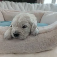 processed/6d40cfe3-d809-424d-9f9a-5683c4c5525d/listing/0b73eb85-abec-4122-81e6-47fa49dbd203/c375f1cb-0a89-458a-b08c-c28ca191161f