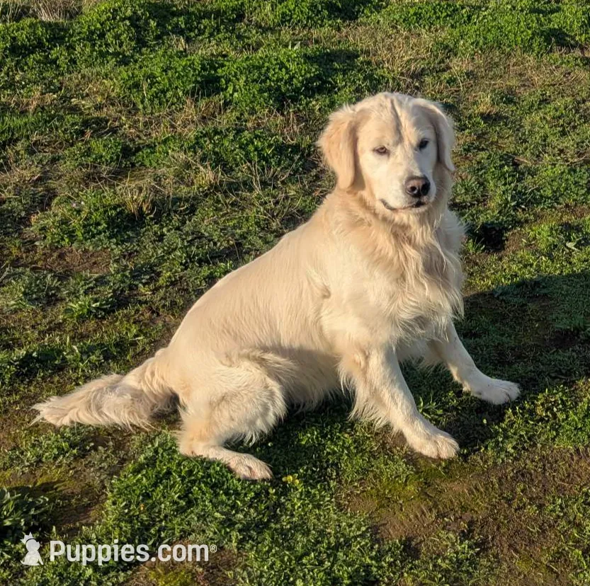 processed/6d40cfe3-d809-424d-9f9a-5683c4c5525d/listing/3a61f611-6a6c-4b20-b41f-7b5b68a9f176/5727e5a2-3596-48b7-8cc1-a4754631ce79