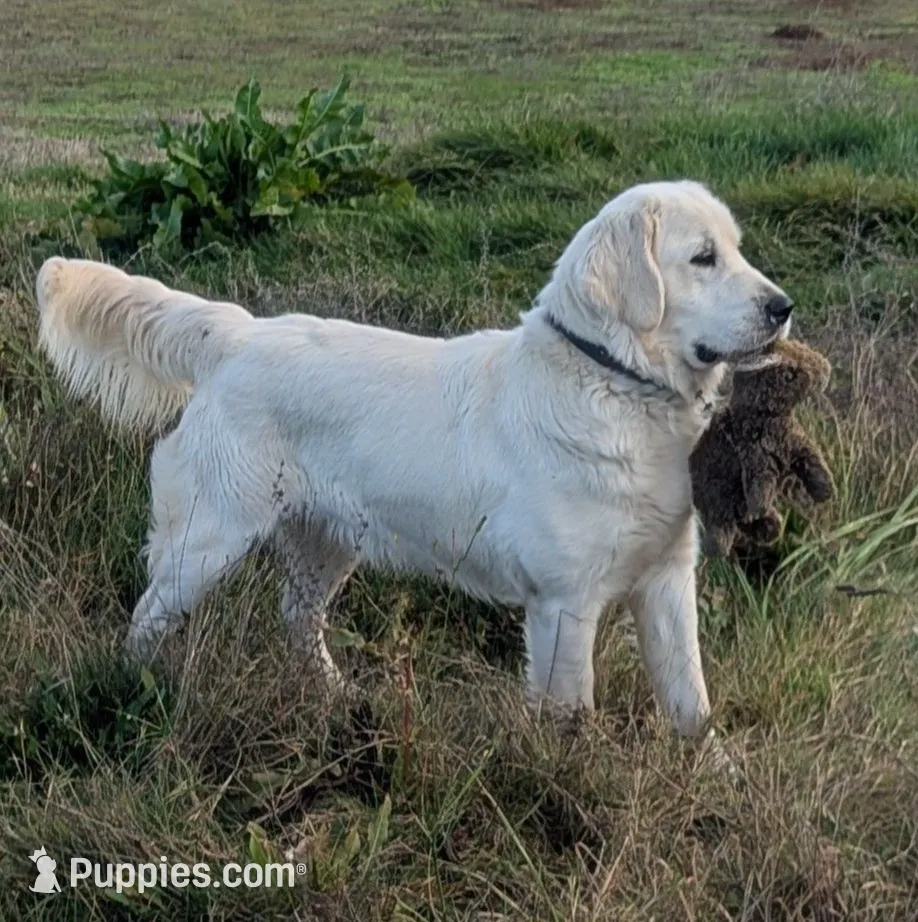 processed/6d40cfe3-d809-424d-9f9a-5683c4c5525d/listing/3a61f611-6a6c-4b20-b41f-7b5b68a9f176/90cf2300-a597-4653-ac20-5461f57bb1c5