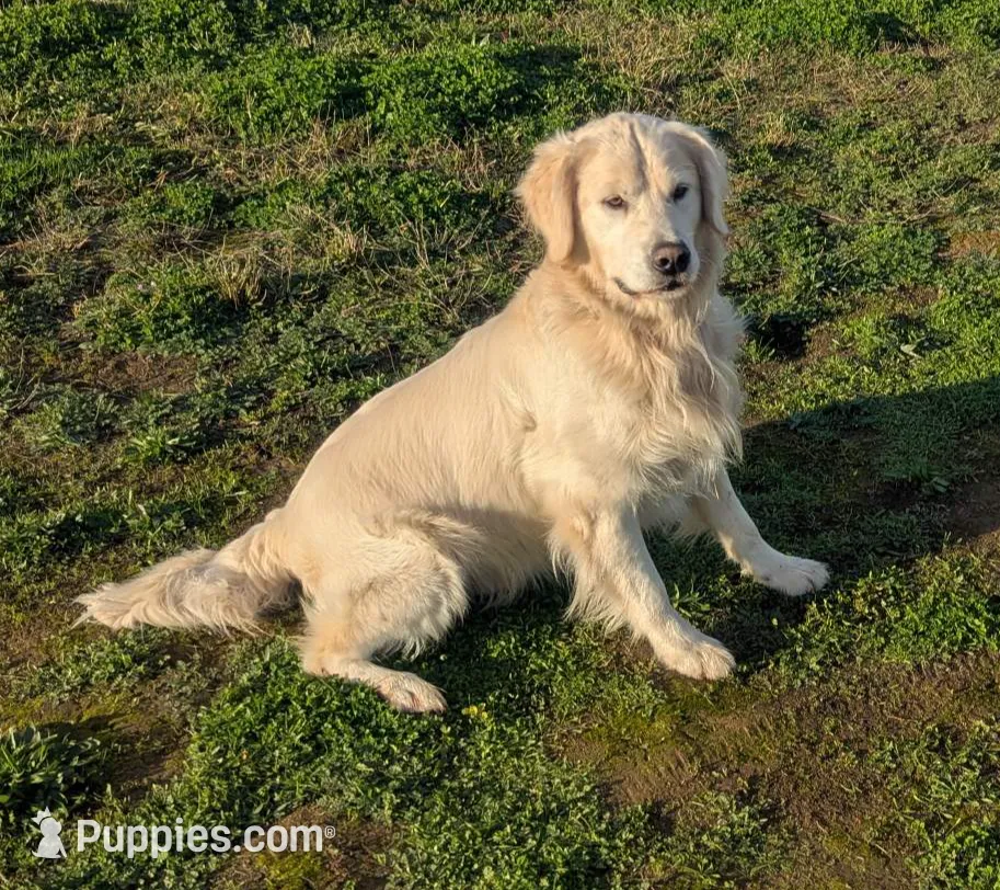 processed/6d40cfe3-d809-424d-9f9a-5683c4c5525d/listing/7accb0a5-659b-417f-a80f-84aec525e1da/64cea23f-ee37-440a-aa94-ce40799005e4