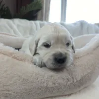 processed/6d40cfe3-d809-424d-9f9a-5683c4c5525d/listing/7accb0a5-659b-417f-a80f-84aec525e1da/ef5e5169-277d-489b-8e6c-c94c813e0726