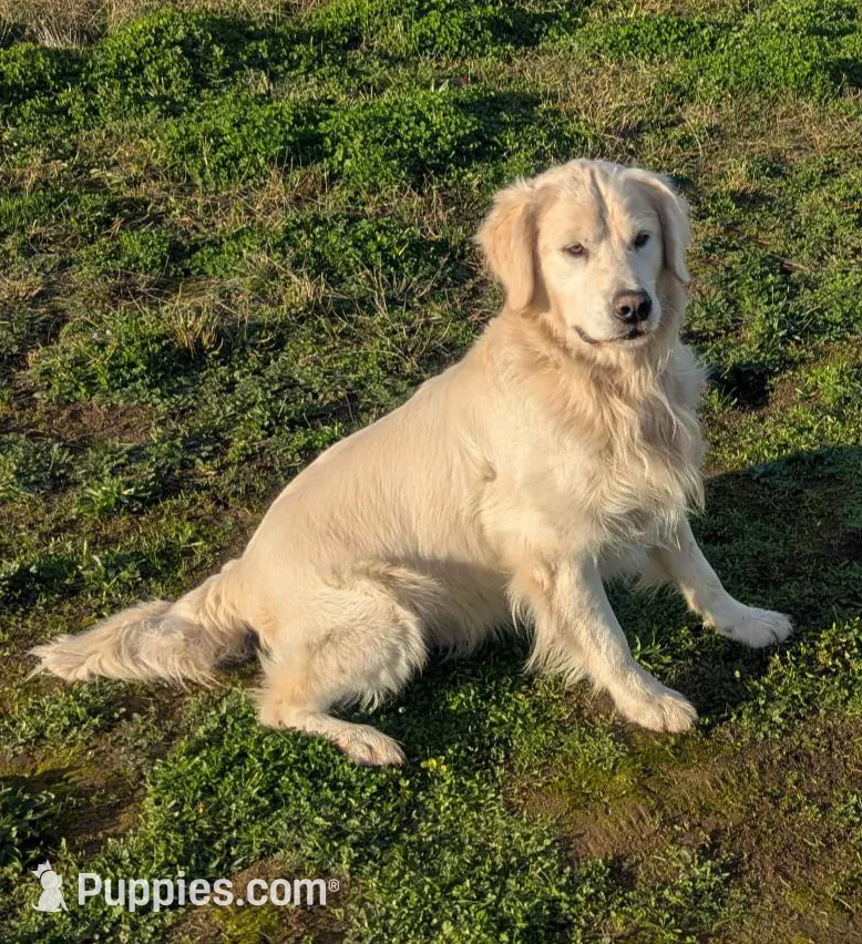 processed/6d40cfe3-d809-424d-9f9a-5683c4c5525d/listing/8613953f-d932-4df1-a176-c0b3fa112b7c/5a82836c-0e76-4535-abab-cca62c351c59