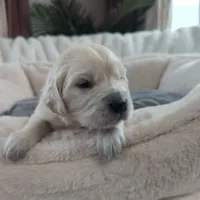 processed/6d40cfe3-d809-424d-9f9a-5683c4c5525d/listing/8613953f-d932-4df1-a176-c0b3fa112b7c/e7d56b8a-d30d-4c55-bfd1-a601634d2cb5