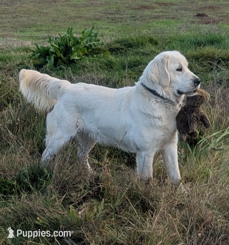 processed/6d40cfe3-d809-424d-9f9a-5683c4c5525d/listing/8613953f-d932-4df1-a176-c0b3fa112b7c/ffddc7bc-fab7-4b76-97b7-e5e559ff52aa