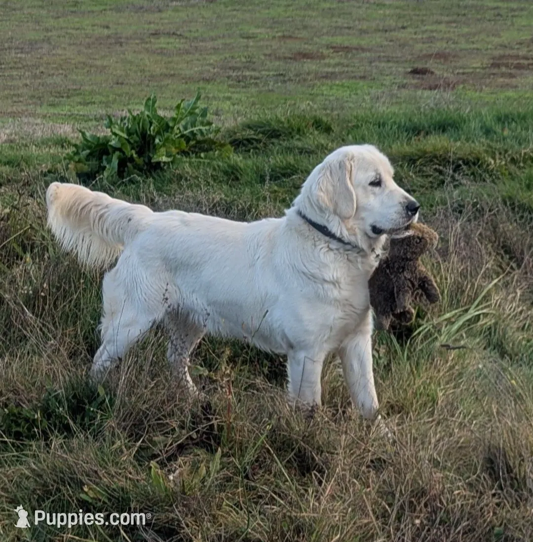 processed/6d40cfe3-d809-424d-9f9a-5683c4c5525d/listing/9bd50878-a6c7-4f01-8aec-4c69d0cc4c18/a66d9dee-89d4-42b6-9214-3b79544d4c40