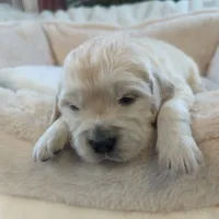 processed/6d40cfe3-d809-424d-9f9a-5683c4c5525d/listing/9bd50878-a6c7-4f01-8aec-4c69d0cc4c18/b86bde28-4312-493e-b675-1f4a38cade3f