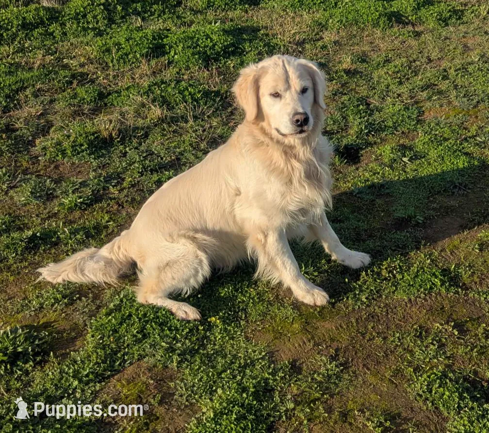 processed/6d40cfe3-d809-424d-9f9a-5683c4c5525d/listing/9bd50878-a6c7-4f01-8aec-4c69d0cc4c18/eeb2f4a4-f26f-4e31-a1d6-894c4984c570