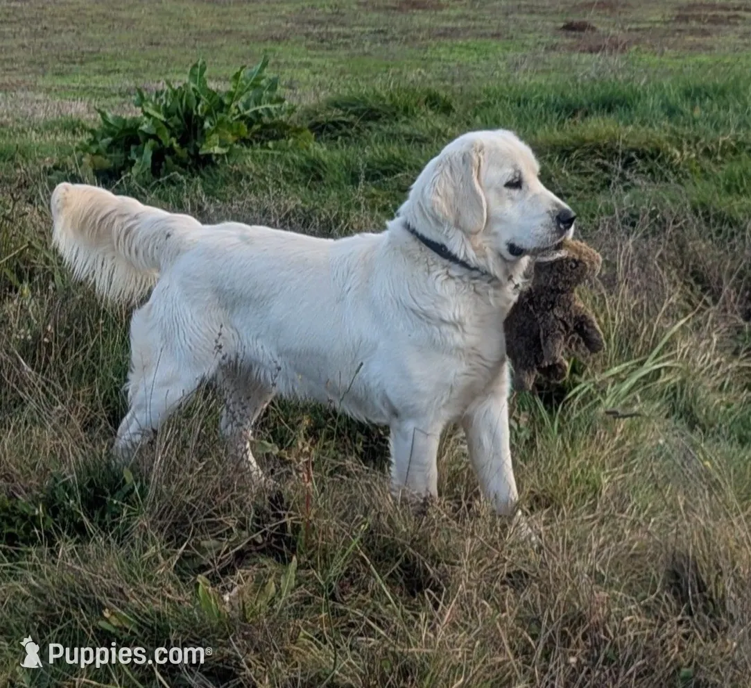 processed/6d40cfe3-d809-424d-9f9a-5683c4c5525d/listing/b5178077-564b-4d65-99bb-ff75f0470709/14bed700-40e9-429c-b635-2d1605ca4d29