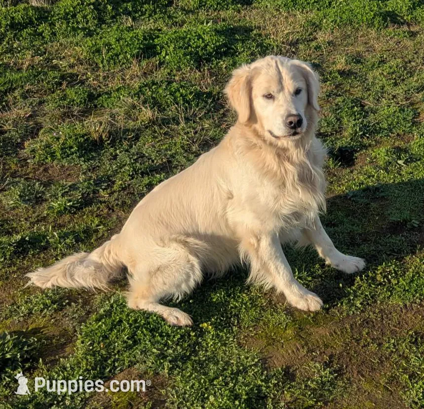 processed/6d40cfe3-d809-424d-9f9a-5683c4c5525d/listing/bfb2324e-8aed-4e60-8a8e-70afa72efda5/1a7289cb-593b-4912-af45-faa4008e1444