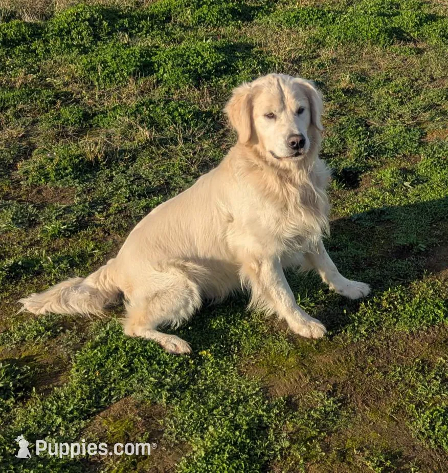 processed/6d40cfe3-d809-424d-9f9a-5683c4c5525d/listing/c93a1470-76e5-4cec-9908-44fbb8512250/5871d5c9-872d-4a95-b856-762986bd8634