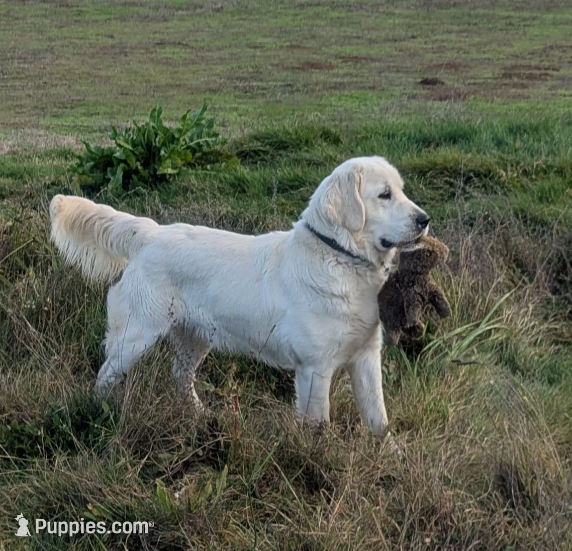 processed/6d40cfe3-d809-424d-9f9a-5683c4c5525d/listing/c93a1470-76e5-4cec-9908-44fbb8512250/636a837f-49de-420f-bb9e-74426753ac5d