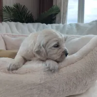 processed/6d40cfe3-d809-424d-9f9a-5683c4c5525d/listing/f7eb35f2-98d7-4dfa-98dd-10b796c44e23/a9faef79-014b-436c-a769-eed2cd42f9cf