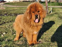 processed/6d467ec7-c087-4de8-8fc1-cfb98132390b/listing/00600ae9-0170-4049-8109-434255a181bc/3e7f85f9-99f8-4cf0-a287-842990239fbe