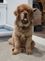 processed/6d467ec7-c087-4de8-8fc1-cfb98132390b/listing/00600ae9-0170-4049-8109-434255a181bc/a21aecc7-cdcd-4a0b-9e83-5100c80a43ae