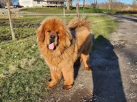 processed/6d467ec7-c087-4de8-8fc1-cfb98132390b/listing/00600ae9-0170-4049-8109-434255a181bc/a61039a4-4aa2-4cb4-8f63-1eb368c47f6d