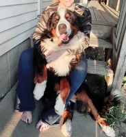 processed/6d467ec7-c087-4de8-8fc1-cfb98132390b/listing/00600ae9-0170-4049-8109-434255a181bc/b9ac4889-ccf0-4ff1-b98b-6f782b1fdee3