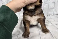 processed/6d467ec7-c087-4de8-8fc1-cfb98132390b/listing/22848f0a-ed90-47cb-bf01-8bf094cf039d/1998db15-062c-43c7-a0af-bd4221484103