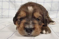 processed/6d467ec7-c087-4de8-8fc1-cfb98132390b/listing/22848f0a-ed90-47cb-bf01-8bf094cf039d/256d7bfd-7297-4a31-8e73-cffc56c4669e