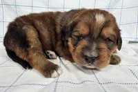 processed/6d467ec7-c087-4de8-8fc1-cfb98132390b/listing/22848f0a-ed90-47cb-bf01-8bf094cf039d/553b63d2-552f-4e58-bf18-23a0b1847335