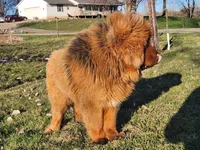 processed/6d467ec7-c087-4de8-8fc1-cfb98132390b/listing/22848f0a-ed90-47cb-bf01-8bf094cf039d/8ea1bf78-f930-4f04-a439-b8ab5b70e3d4