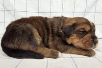 processed/6d467ec7-c087-4de8-8fc1-cfb98132390b/listing/22848f0a-ed90-47cb-bf01-8bf094cf039d/961dd2aa-3654-43c3-9ccd-f12c4c5390a0