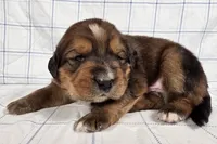 processed/6d467ec7-c087-4de8-8fc1-cfb98132390b/listing/22848f0a-ed90-47cb-bf01-8bf094cf039d/aca256c9-4485-4ac5-a1ed-fc664cdc2544