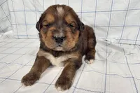 processed/6d467ec7-c087-4de8-8fc1-cfb98132390b/listing/22848f0a-ed90-47cb-bf01-8bf094cf039d/b13a9a42-55b1-46c9-89ba-418cd20cf937