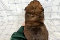 processed/6d467ec7-c087-4de8-8fc1-cfb98132390b/listing/22848f0a-ed90-47cb-bf01-8bf094cf039d/e9ee7171-3450-4078-be37-26b10726f136