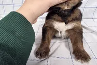 processed/6d467ec7-c087-4de8-8fc1-cfb98132390b/listing/252bb9d8-000a-4ca9-ad37-b073f0d13cec/21f30fb9-0e55-4617-bea4-685fc5bdd7ce