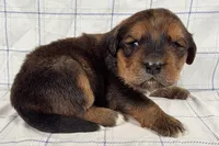 processed/6d467ec7-c087-4de8-8fc1-cfb98132390b/listing/252bb9d8-000a-4ca9-ad37-b073f0d13cec/2c5d3911-fa3e-4ad1-b896-1e8da6aa1a77