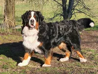 processed/6d467ec7-c087-4de8-8fc1-cfb98132390b/listing/252bb9d8-000a-4ca9-ad37-b073f0d13cec/4c2466d5-e537-4239-9db3-cabbf1bd5bfe