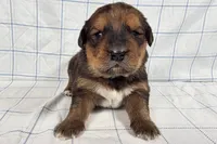 processed/6d467ec7-c087-4de8-8fc1-cfb98132390b/listing/252bb9d8-000a-4ca9-ad37-b073f0d13cec/63a6a7ec-5b47-4846-a2b7-5d4acaf3fb81