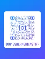 processed/6d467ec7-c087-4de8-8fc1-cfb98132390b/listing/252bb9d8-000a-4ca9-ad37-b073f0d13cec/6ac35047-c3fb-433c-8389-03048dc66046