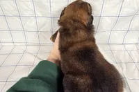 processed/6d467ec7-c087-4de8-8fc1-cfb98132390b/listing/252bb9d8-000a-4ca9-ad37-b073f0d13cec/86abbd95-8073-411c-8d41-37fc055b7610