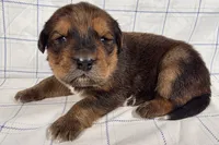 processed/6d467ec7-c087-4de8-8fc1-cfb98132390b/listing/252bb9d8-000a-4ca9-ad37-b073f0d13cec/a0e21321-e5a2-492a-a64d-c8943fe33aca