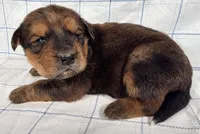 processed/6d467ec7-c087-4de8-8fc1-cfb98132390b/listing/252bb9d8-000a-4ca9-ad37-b073f0d13cec/b3c9ef78-ebc4-400d-b59e-125698d3ffed