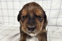 processed/6d467ec7-c087-4de8-8fc1-cfb98132390b/listing/252bb9d8-000a-4ca9-ad37-b073f0d13cec/de55542b-0c5e-4339-a6ad-5f531d03e1e6