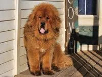 processed/6d467ec7-c087-4de8-8fc1-cfb98132390b/listing/42b8ba4d-5df0-4a8a-b426-fe6423ffafb4/c32f08c6-f3d5-4b20-b93e-607cdd57dc4e