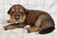 processed/6d467ec7-c087-4de8-8fc1-cfb98132390b/listing/4d78c074-6dde-421f-b0f8-9e162335a257/040211c3-664a-4e2e-8fcb-fd71178bf577